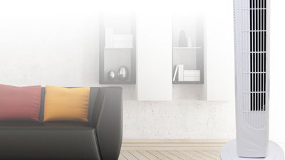 香蕉视频网站在线下载科普时间：塔扇是什么？