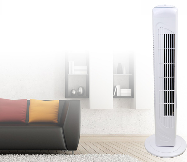 香蕉视频网站在线下载科普时间：塔扇是什么？